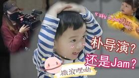 卡通考拉救援